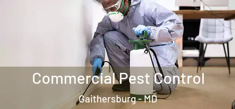  Commercial Pest Control Gaithersburg - MD