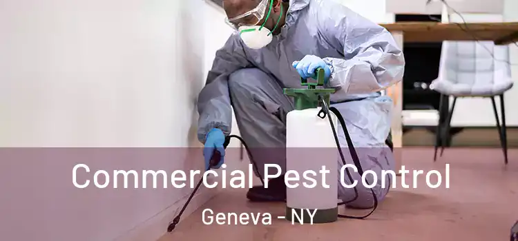Commercial Pest Control Geneva - NY