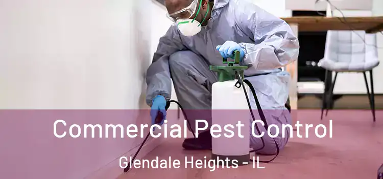 Commercial Pest Control Glendale Heights - IL