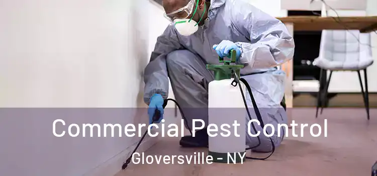  Commercial Pest Control Gloversville - NY