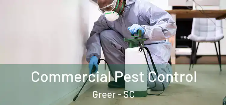 Commercial Pest Control Greer - SC