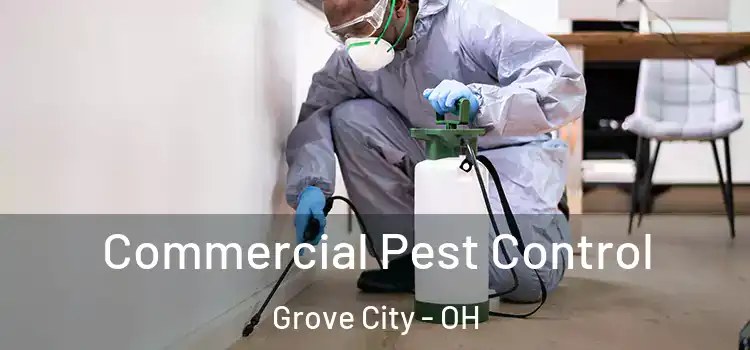 Commercial Pest Control Grove City - OH