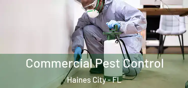 Commercial Pest Control Haines City - FL