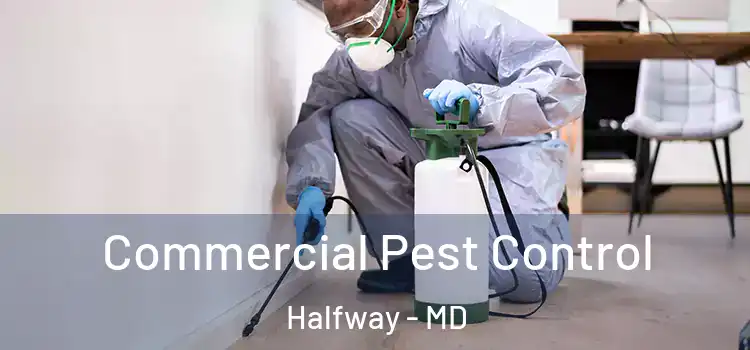  Commercial Pest Control Halfway - MD