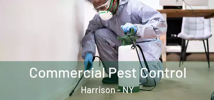 Commercial Pest Control Harrison - NY