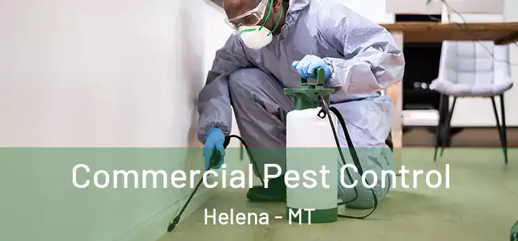  Commercial Pest Control Helena - MT