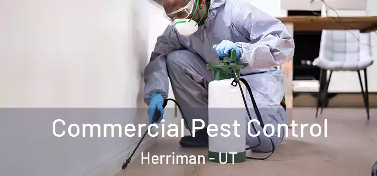  Commercial Pest Control Herriman - UT