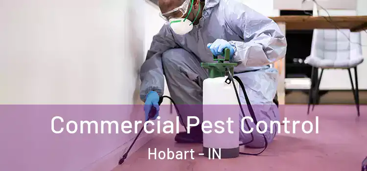  Commercial Pest Control Hobart - IN