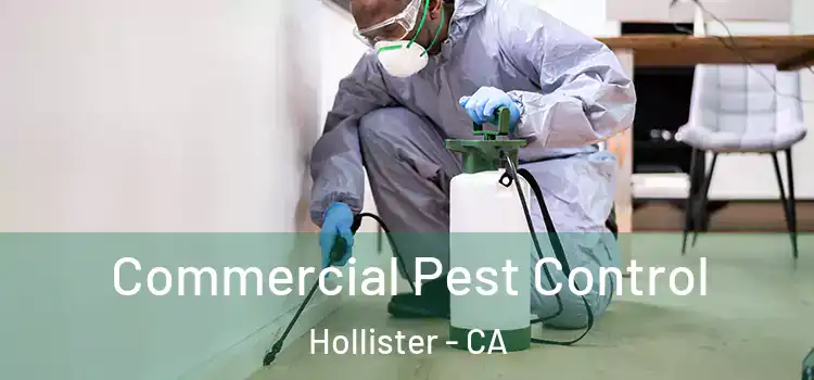 Commercial Pest Control Hollister - CA