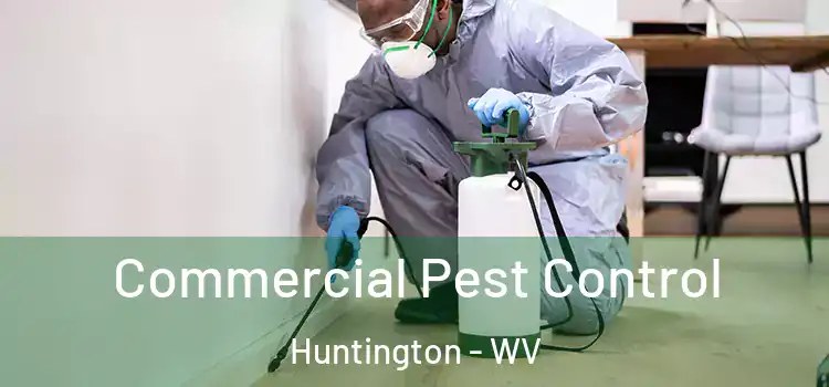  Commercial Pest Control Huntington - WV