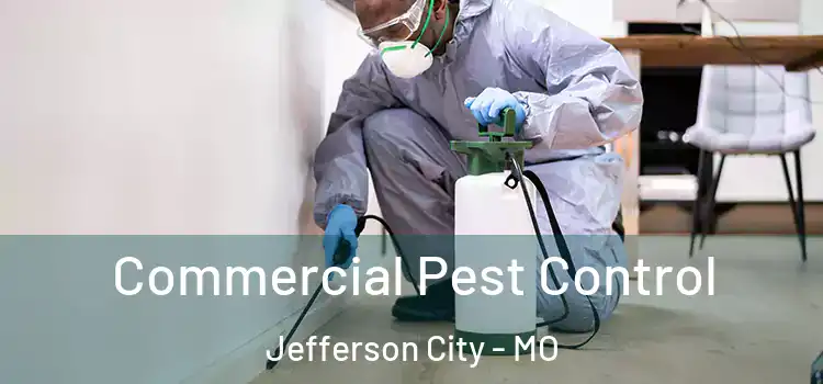  Commercial Pest Control Jefferson City - MO