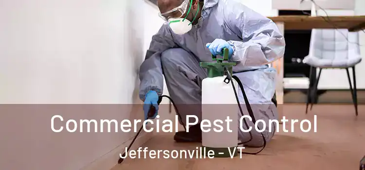  Commercial Pest Control Jeffersonville - VT