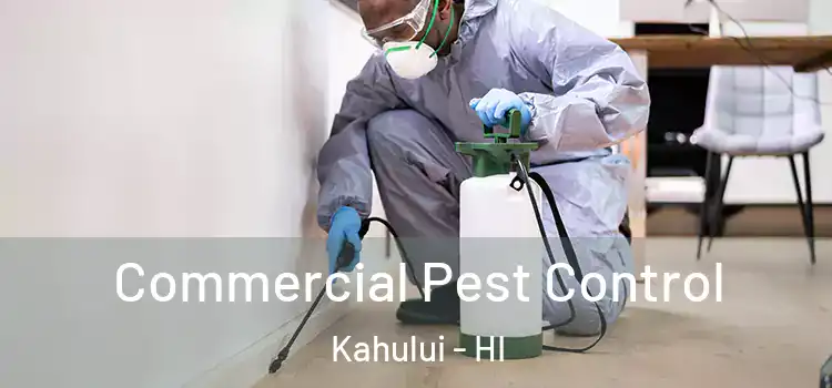  Commercial Pest Control Kahului - HI