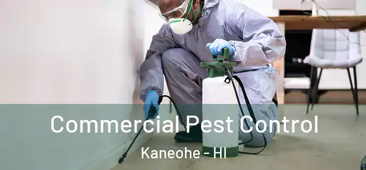  Commercial Pest Control Kaneohe - HI