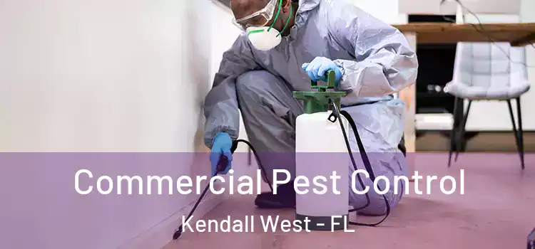  Commercial Pest Control Kendall West - FL