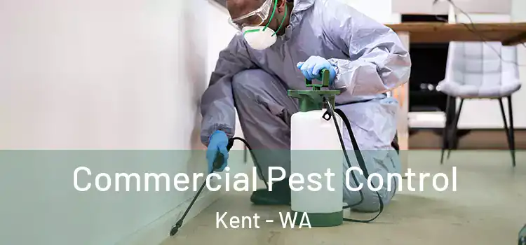 Commercial Pest Control Kent - WA