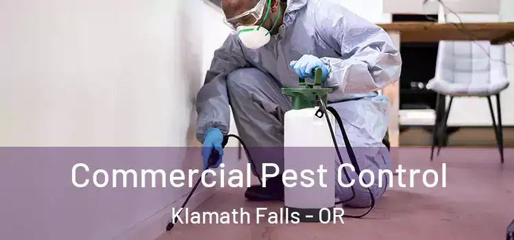 Commercial Pest Control Klamath Falls - OR