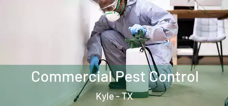 Commercial Pest Control Kyle - TX