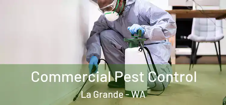 Commercial Pest Control La Grande - WA