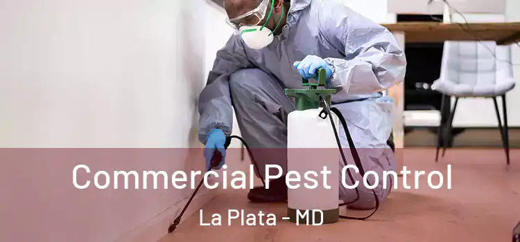  Commercial Pest Control La Plata - MD