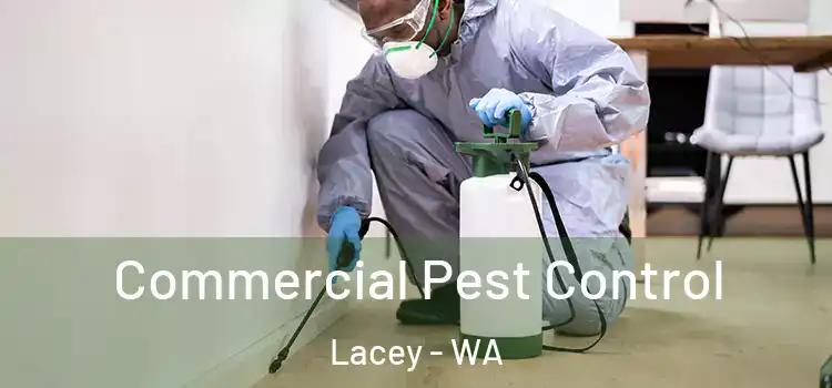 Commercial Pest Control Lacey - WA