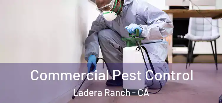  Commercial Pest Control Ladera Ranch - CA