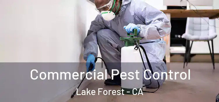 Commercial Pest Control Lake Forest - CA