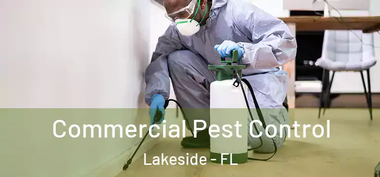 Commercial Pest Control Lakeside - FL