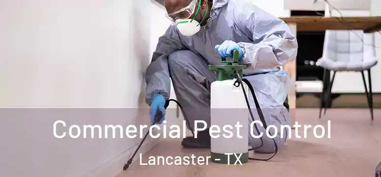  Commercial Pest Control Lancaster - TX