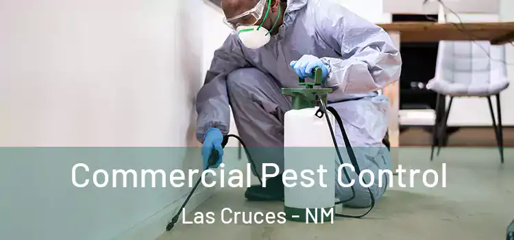  Commercial Pest Control Las Cruces - NM