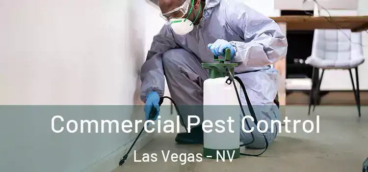  Commercial Pest Control Las Vegas - NV