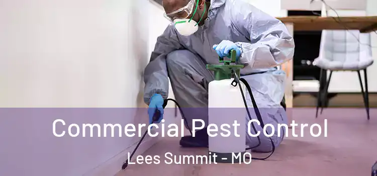 Commercial Pest Control Lees Summit - MO