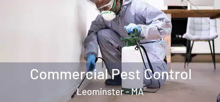 Commercial Pest Control Leominster - MA