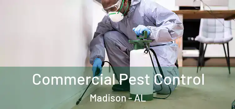  Commercial Pest Control Madison - AL