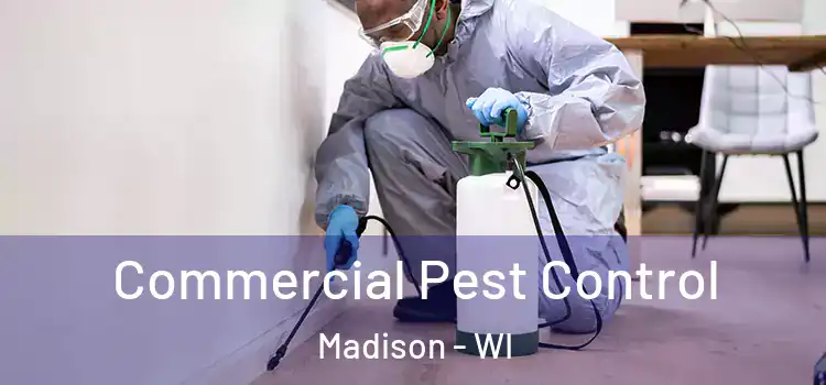 Commercial Pest Control Madison - WI