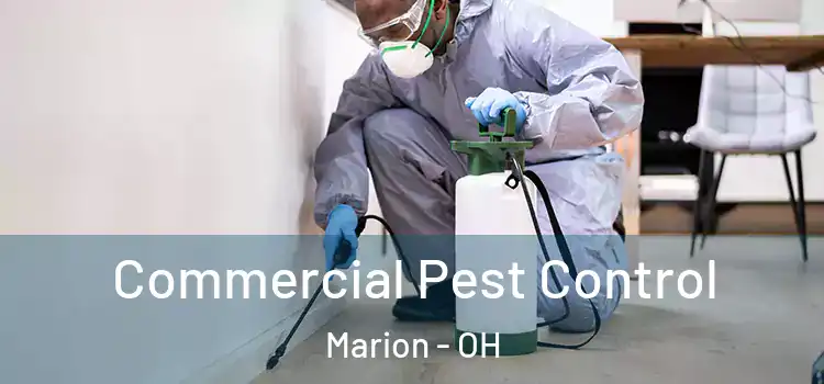 Commercial Pest Control Marion - OH