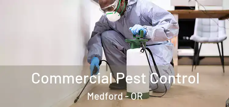 Commercial Pest Control Medford - OR