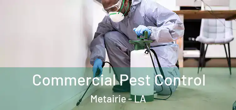 Commercial Pest Control Metairie - LA