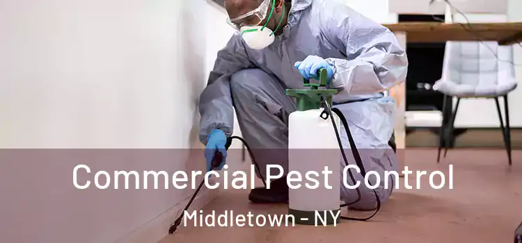 Commercial Pest Control Middletown - NY