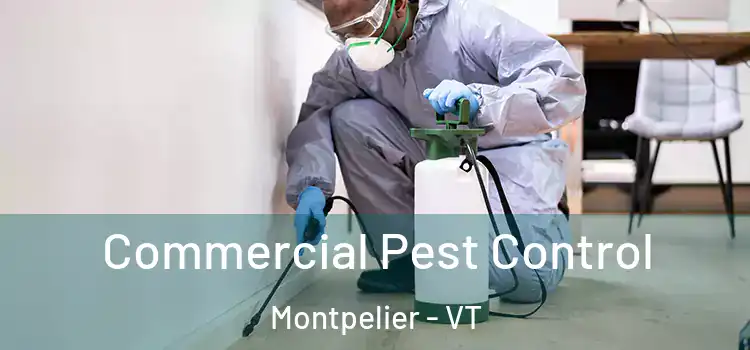  Commercial Pest Control Montpelier - VT