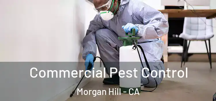  Commercial Pest Control Morgan Hill - CA