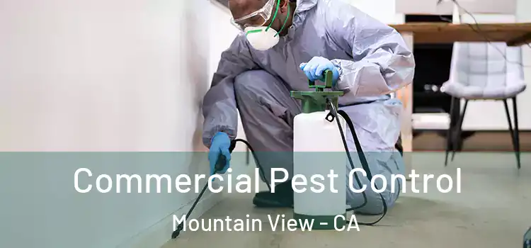 Commercial Pest Control Mountain View - CA