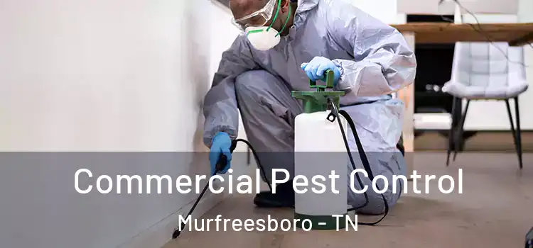  Commercial Pest Control Murfreesboro - TN