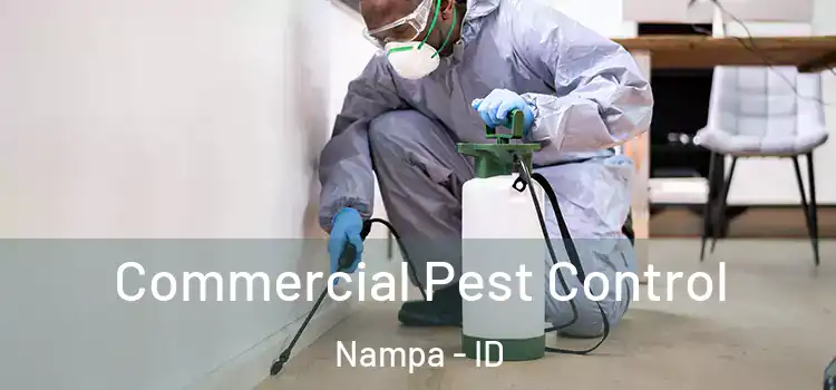 Commercial Pest Control Nampa - ID