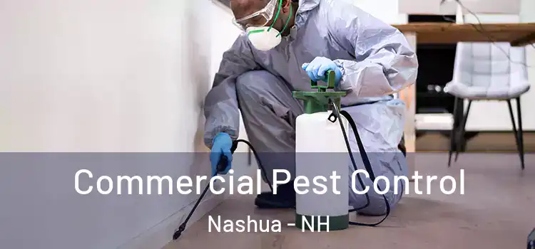  Commercial Pest Control Nashua - NH
