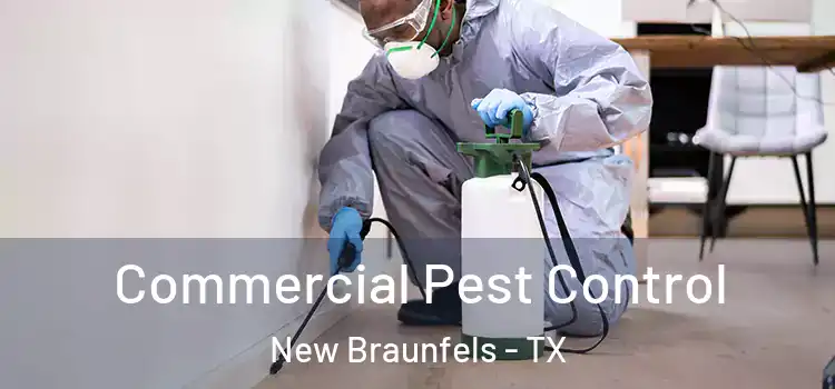 Commercial Pest Control New Braunfels - TX