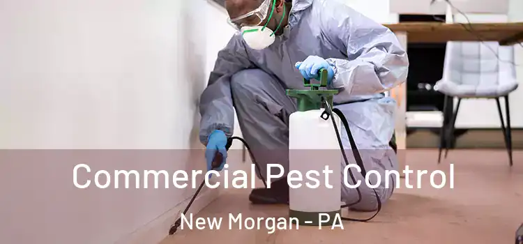  Commercial Pest Control New Morgan - PA