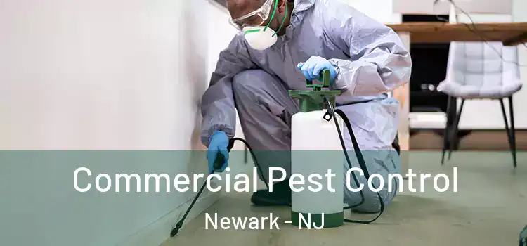 Commercial Pest Control Newark - NJ