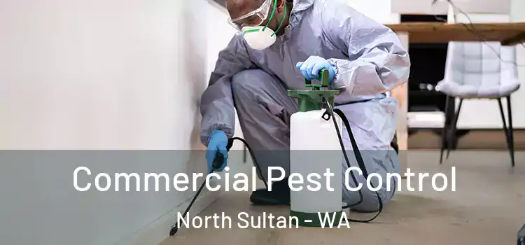  Commercial Pest Control North Sultan - WA