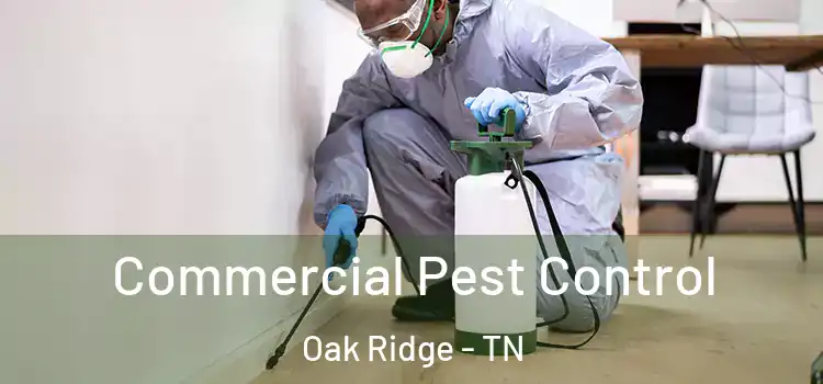 Commercial Pest Control Oak Ridge - TN